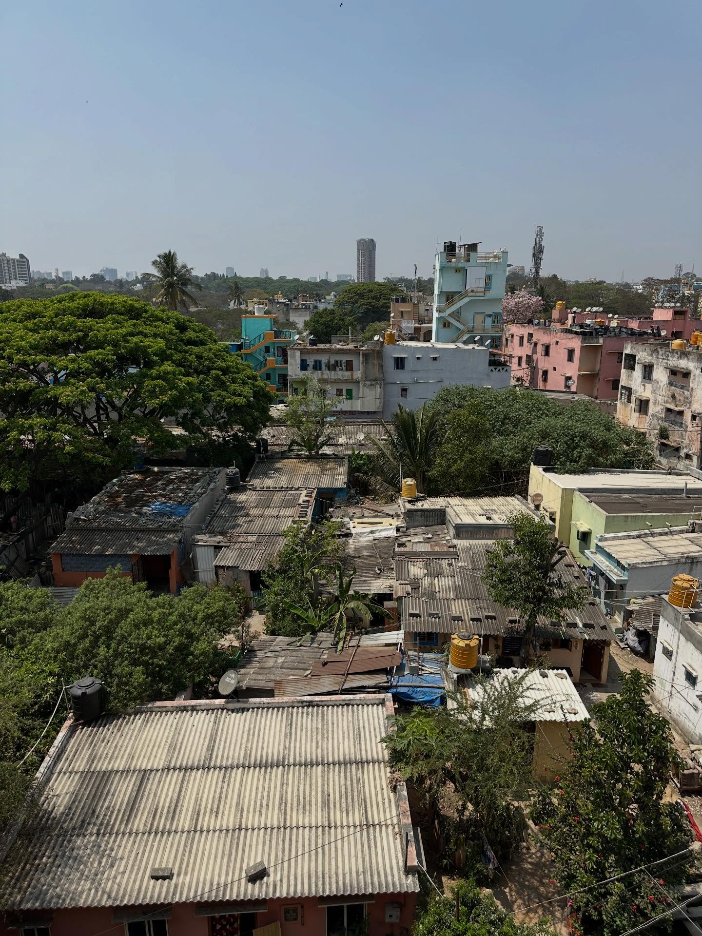 写真の説明はありません。